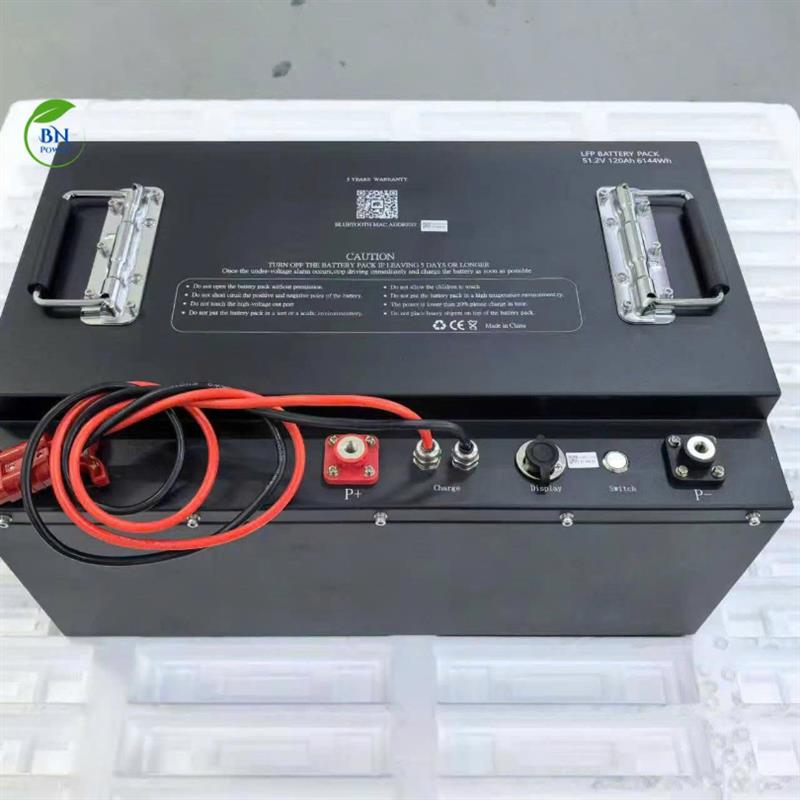 Pin Lithium THUNDER POWER 51.2V 120AH Cho Xe Điện Du Lịch , Xe Golf