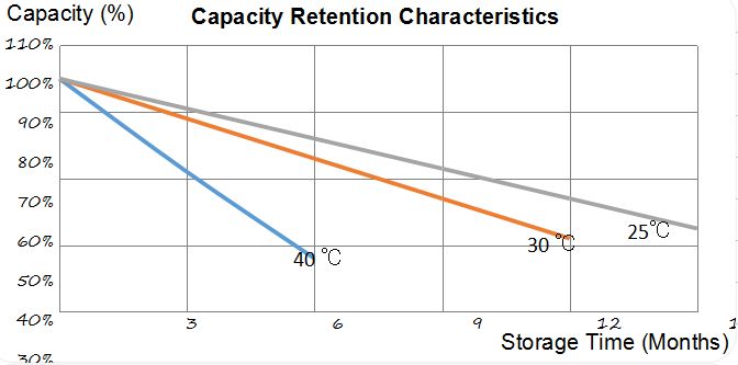 Long Life Lead Acid Electric Vehicle Battery